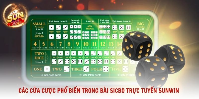 Các cửa cược phổ biến trong bài Sicbo trực tuyến Sunwin