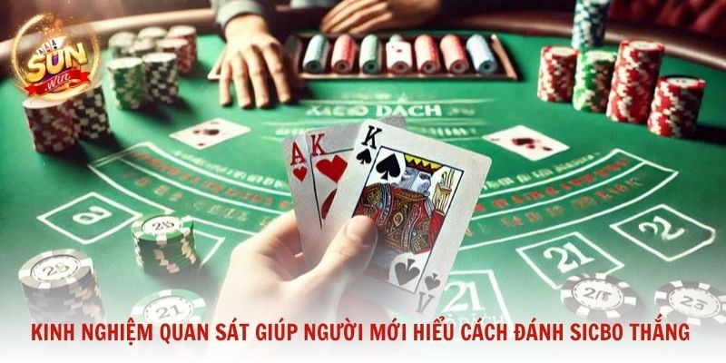 Kinh nghiệm quan sát giúp người mới hiểu cách đánh Sicbo thắng