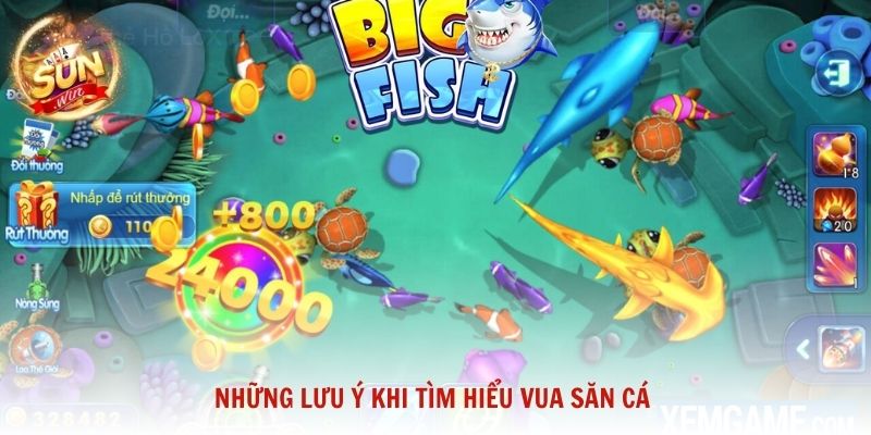 Những lưu ý khi tìm hiểu Vua săn cá để đảm bảo an toàn và tránh nhầm lẫn 