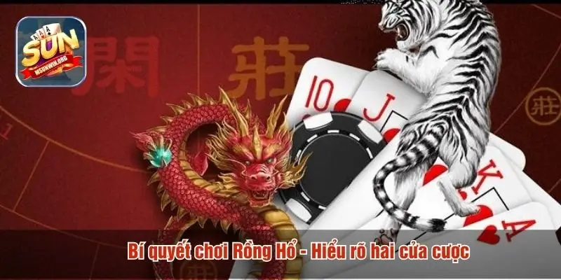 Bí quyết chơi rồng hổ - hiểu rõ hai cửa cược
