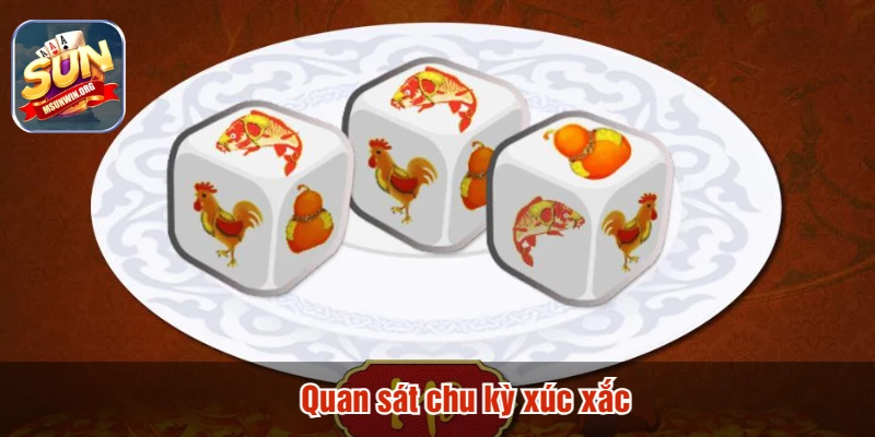 Quan sát chu kỳ xúc xắc